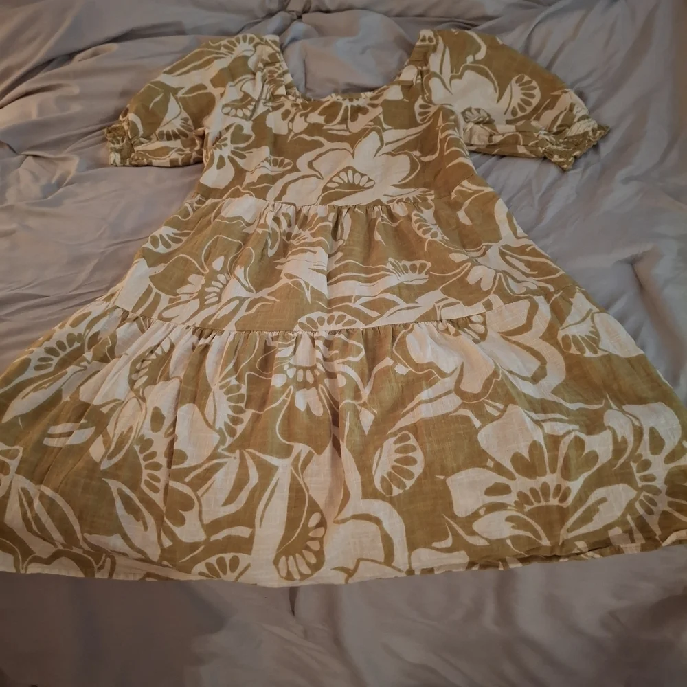 Mlle Gabrielle Women's Cream and Green Floral Mini Dress